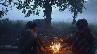 Photo of उत्तराखंड में सामान्य से नीचे आया न्यूनतम तापमान, सुबह-शाम बढ़ी ठिठुरन