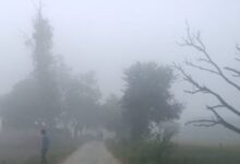 Photo of पटना समेत कई जिलों में घना कोहरा