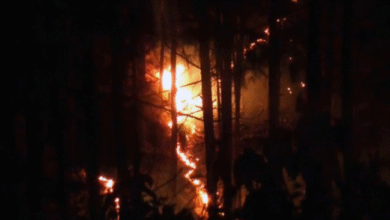 Photo of उत्तराखंड हाईकोर्ट ने जंगल की आग पर विशेषज्ञों से मांगा     मार्गदर्शन