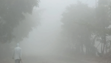 Photo of यूपी मे सर्दी और कोहरे को लेकर अलर्ट जारी