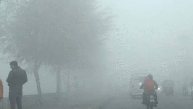 Photo of मध्य प्रदेश में बढ़ी सर्दी,11 शहर 10 डिग्री से नीचे