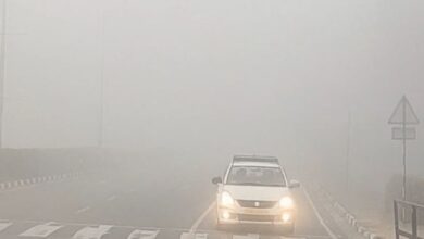 Photo of मैदान में कोहरा तो पहाड़ में पाला बढ़ाएगा ठंड