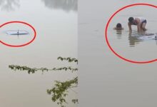 Photo of घने कोहरे में सड़क गायब! तालाब में गिरी कार, चालक ने पल भर में छलांग लगाकर बचाई अपनी जान