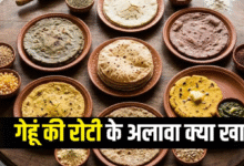 Photo of हड्डियों में दर्द हो या खून की कमी, हर मर्ज की दवा हैं 7 तरह की रोटियां
