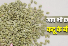 Photo of सेहत पर भारी पड़ सकते हैं सेहतमंद ‘कद्दू के बीज’
