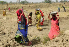 Photo of VB-G RAM G कानून के खिलाफ आज से कांग्रेस का आंदोलन