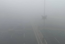 Photo of राजधानी समेत अवध क्षेत्र में सुबह-सुबह कोहरे की बारिश