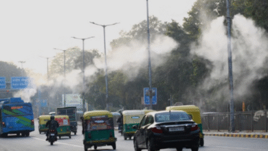 Photo of उत्तर से चली बर्फीली हवा ने एमपी को कंपाया, प्रदेश के 25 शहरों में पारा 10 डिग्री से नीचे
