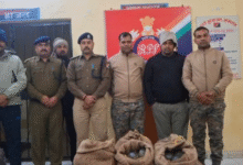 Photo of सासाराम स्टेशन पर आरपीएफ की बड़ी कार्रवाई, कालका मेल से 311 जिंदा कछुए बरामद