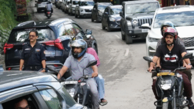 Photo of नैनीताल रोड की चौड़ाई बढ़ाने को काटे जाएंगे 17400 पेड़, NH ने मांगी अनुमति