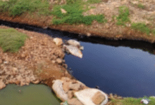 Photo of इंदौर में और भी भागीरथपुरा बनने की आहट: उद्योगों के केमिकल वेस्ट से जहरीला हुआ भूजल