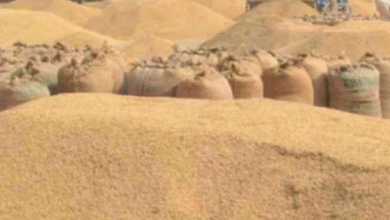 Photo of जबलपुर: धान खरीदी केंद्र में 38 लाख का घोटाला, सात पर केस दर्ज