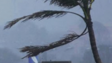 Photo of प्रदेश से कोहरे ने ली विदा, 8 डिग्री के पारे के साथ बरेली रहा सबसे ठंडा