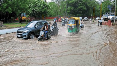 Photo of चंडीगढ़ में मानसून की हुई जबरदस्त एंट्री, जानिए अगले दिनों मौसम का हाल