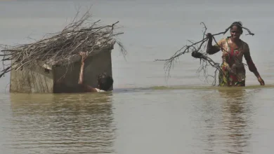 Photo of पाकिस्तान में बाढ़ से तबाही, 1208 लोगों की मौत