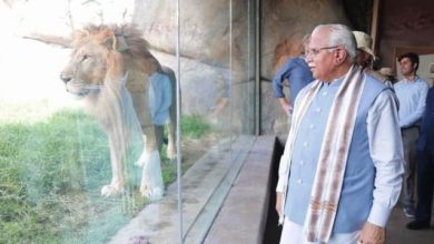 Photo of दुनिया की सबसे बड़ी परियोजना बनाने की ओर हरियाणा की राज्य सरकार, पढ़े पूरी ख़बर