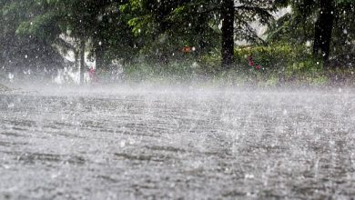 Photo of इन राज्यों में बारिश होने के असार, कई ने जारी किया येलो अलर्ट, पढ़े पूरी ख़बर