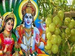 Photo of ऐसे करे अक्षय नवमी पर भगवान विष्णु और मां लक्ष्मी की पूजा, जानें विधी