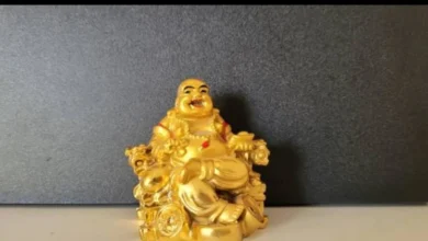 Photo of करियर में तरक्की पाने के लिए अपनाए ये आसान फेंगशुई टिप्स, जानें क्या