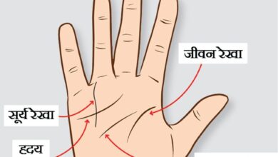 Photo of हाथ में सूर्य रेखा का जानें महत्त्व ..