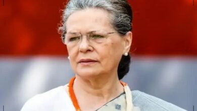 Photo of सवाई माधोपुर के रणथंभौर टाइगर रिजर्व में सोनिया गांधी मनाएंगी अपना 76वां जन्मदिन