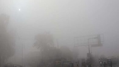 Photo of हिमाचल प्रदेश में कोहरे और ओस ने बढ़ाई लोगों की परेशानी, पढ़े पूरी ख़बर
