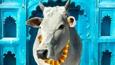 Photo of गाय को मारने वाला नर्क में सड़ता है, इसलिए गौहत्या पर बैन होना चाहिए- जज जस्टिस शमीम अहमद