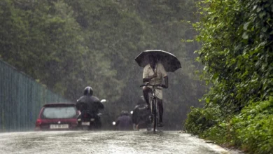 Photo of 27 अप्रैल से अगले पांच दिन तक दिल्ली में हल्की बूंदाबांदी होने के आसार, जानें अगले 5 दिनों का हाल..