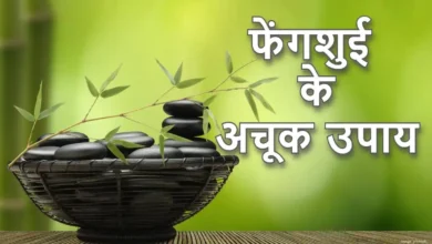 Photo of तो आइए जानते हैं फेंगशुई के कुछ जरूरी उपायों के बारे में विस्तार से…..