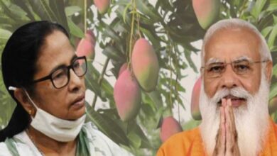 Photo of मुख्यमंत्री ममता बनर्जी प्रधानमंत्री नरेंद्र मोदी को भेजेगी  आम की टोकरी…
