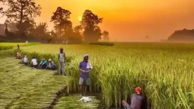 Photo of मोदी सरकार ने किसानों को दी बड़ी राहत, उर्वरक पर मिलेगी 22 हजार करोड़ की सब्सिडी