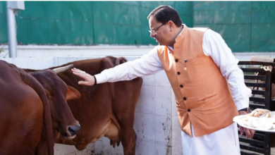 Photo of गोवर्धन पूजा: सीएम धामी ने किया गायों का पूजन,पढ़े पूरी ख़बर