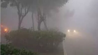 Photo of IMD ने इन राज्यों के लिए जारी किया बारिश का अलर्ट