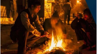 Photo of पहाड़ों पर बर्फबारी तो मैदानी इलाकों में कोहरे ने बढ़ाई परेशानी