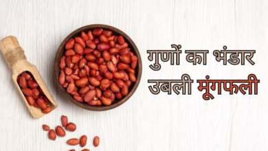Photo of पोषक तत्वों का पावरहाउस है उबली हुई मूंगफली