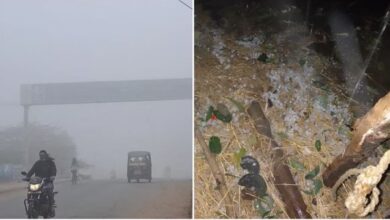 Photo of मध्य प्रदेश : मौसम का मिजाज बदला, उमरिया में ओले गिरने से बड़ी सर्दी