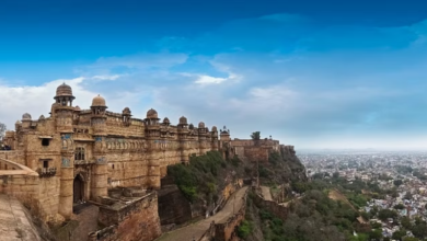 Photo of मध्यप्रदेश: प्रदेश की छह ऐतिहासिक धरोहरें यूनेस्को अस्थायी सूची में हुई शामिल