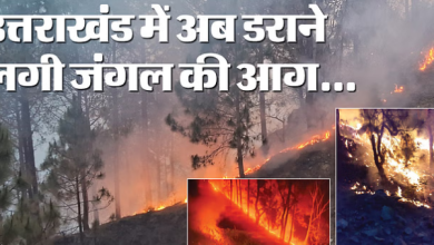 Photo of पहाड़ों में बेकाबू आग ने मचाया तांडव, पिथौरागढ़ में 106 जगह धधके जंगल