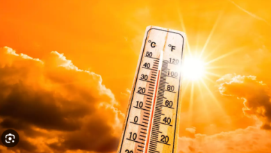 Photo of दिल्ली: आज लू का रेड अलर्ट, रविवार को रवि के तेवर रहेंगे तल्ख; 44 °C तक जा सकता है पारा