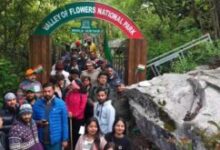 Photo of उत्तराखंड: पर्यटकों के लिए खुली विश्व धरोहर फूलों की घाटी