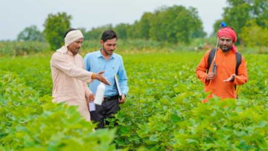 Photo of 3.3 अरब डॉलर के  साथ भारत बना तीसरा सबसे बड़ा कृषि रसायन निर्यातक