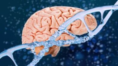 Photo of हंटिंगटन डिजीज के इलाज में नई उम्मीद, जीन थेरेपी बनी गेम-चेंजर