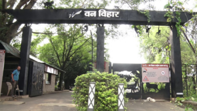 Photo of मध्यप्रदेश: वन विहार आज से बनेगा नो-व्हीकल जोन, सीएम करेंगे शुभारंभ