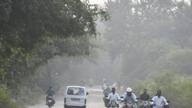 Photo of मध्यप्रदेश में दो दिन बाद फिर कड़ाके ठंड