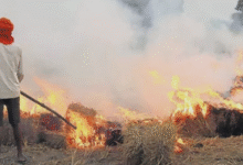 Photo of यूपी के इस जिले में सेटेलाइट से पकड़ में आए पराली जलाने वाले