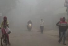 Photo of बिहार के इन 33 जिलों घने कोहरे का अलर्ट, पछुआ हवा ने बढ़ाई ठिठुरन