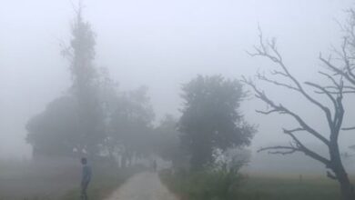 Photo of पटना समेत कई जिलों में घना कोहरा