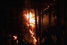 Photo of उत्तराखंड हाईकोर्ट ने जंगल की आग पर विशेषज्ञों से मांगा     मार्गदर्शन