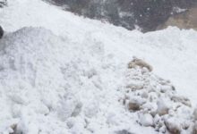 Photo of उत्तराखंड: राज्य के ऊंचाई वाले क्षेत्रों में हिमस्खलन की आशंका…