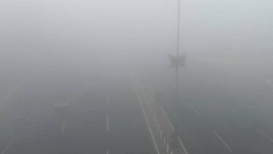 Photo of राजधानी समेत अवध क्षेत्र में सुबह-सुबह कोहरे की बारिश